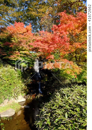 Zelkey's Forest Park entrance 41672662