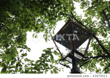 Street lamp 41673011