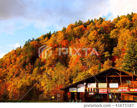 日期秋葉“三井瀑佈公園” 日期秋葉“三井瀑佈公園” 41673187