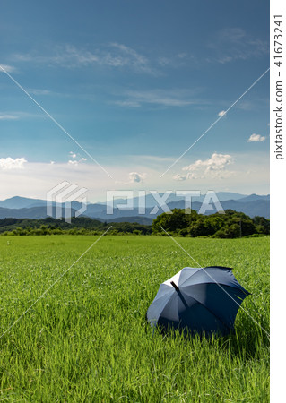 Prairie and umbrella Prairie and umbrella 41673241