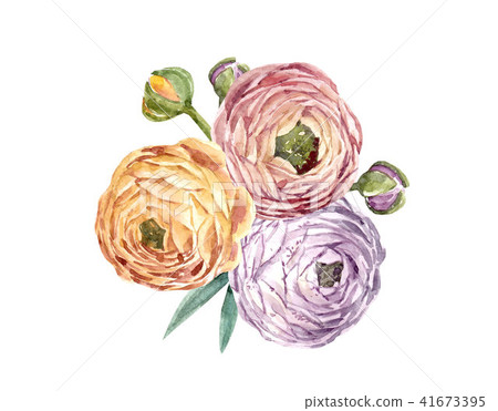 Watercolor floral composition 41673395