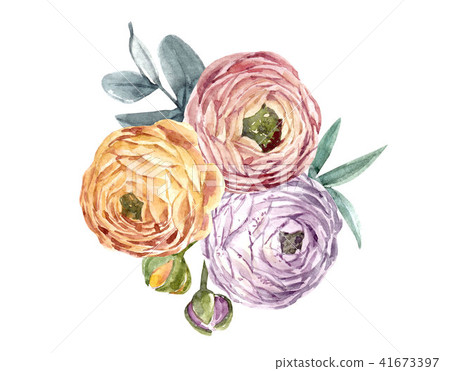 Watercolor floral composition 41673397