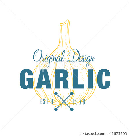 Garlic logo original design estd 1978, culinary spice retro emblem vector Illustration on a white 41675503