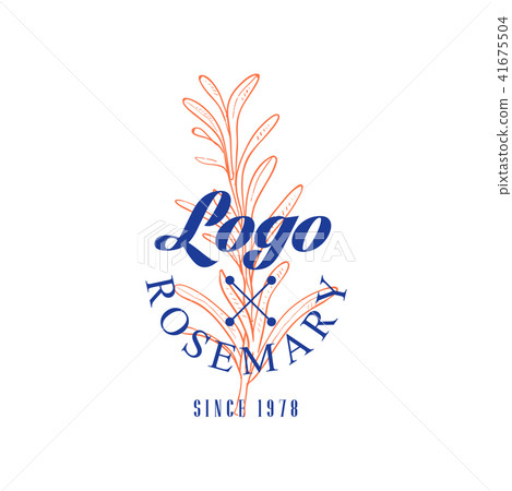 Rosemary logo since 1978, culinary spicy herb retro emblem vector Illustration on a white background 41675504