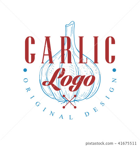 Garlic logo original design, culinary spice emblem vector Illustration on a white background 41675511