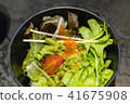 japanese fresh vegetable salad 41675908