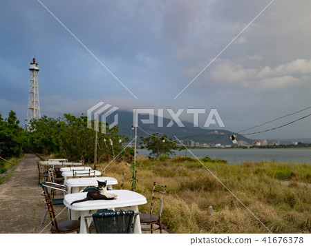 cat on outdoor dining table 41676378