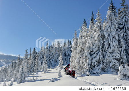 People in Winter trekking 41676386