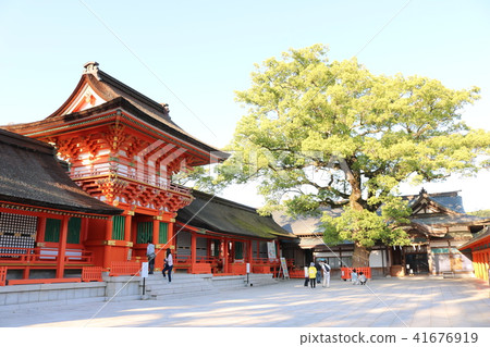 美國神社的風景 41676919