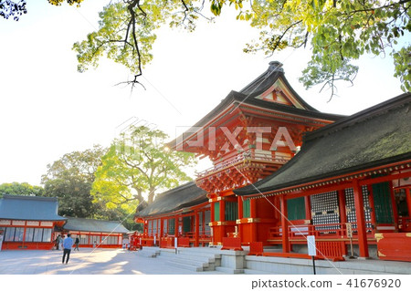 美國神社的風景 41676920
