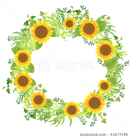 向日葵框架02 向日葵框架02 41677246
