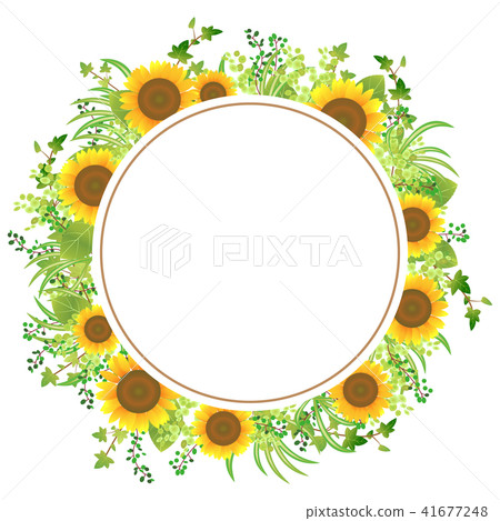 向日葵框架03 向日葵框架03 41677248