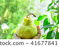 Young Caucasian Woman Holding in Hand Organic Pear 41677841