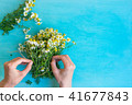 Young Caucasian Woman Ties Bouquet of Camomiles 41677843