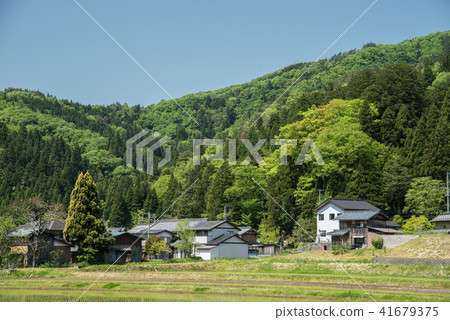 湖北地區初夏田園風光 41679375