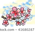 櫻花 41680287
