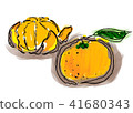 橘子 41680343