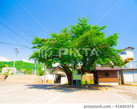 Shinanomori station 41680378