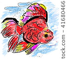 金魚 41680466