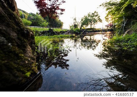 Sunset and pond Sunset and pond 41680537