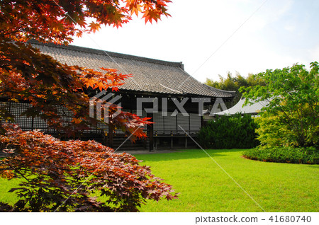 Oedo temple of early summer 41680740