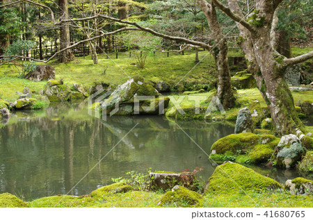 The garden of the Kitajima masterpiece ruins The garden of the Kitajima masterpiece ruins 41680765
