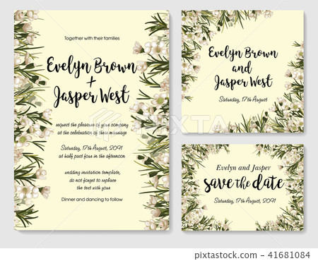 Vector Pastel Floral Frame Set. Elegant white wax Vector Pastel Floral Frame Set. Elegant white wax 41681084