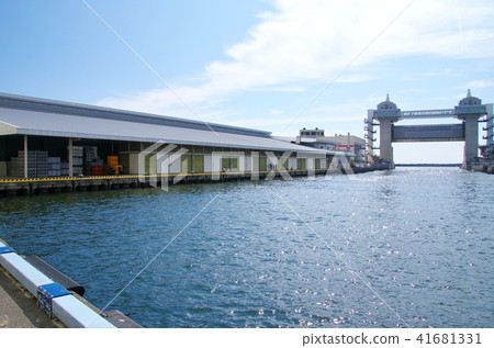 沼津港 41681331