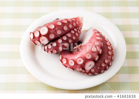 octopus  41681638