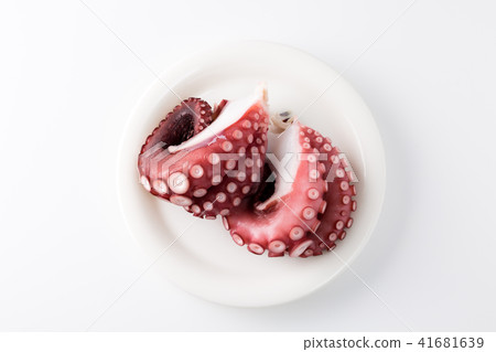 octopus octopus 41681639