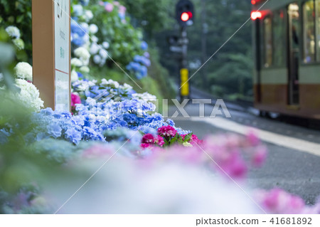 Hakone Tozan Railway Miyanoshita 41681892