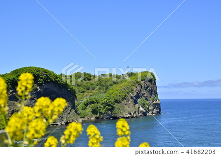 從山上的Oshido半島 從山上的Oshido半島 41682203