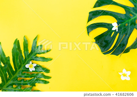 Summer flat lay scenery Summer flat lay scenery 41682606