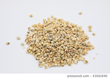 四神湯,四君子湯,四臣湯 四神湯,四君子湯,四臣湯 41682690