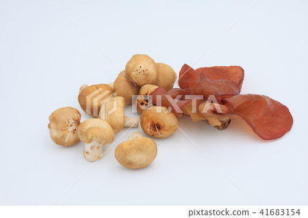 Qingjiang vegetables, clams, fungus, mushrooms Qingjiang vegetables, clams, fungus, mushrooms 41683154
