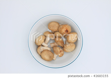 Qingjiang vegetables, clams, fungus, mushrooms Qingjiang vegetables, clams, fungus, mushrooms 41683155
