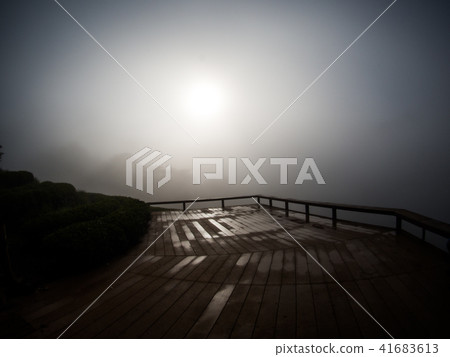 hmong hill tribe harvest tea plant in the morning hmong hill tribe harvest tea plant in the morning 41683613