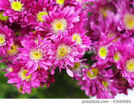 craft handmade of clothes paper and plastic 41684893