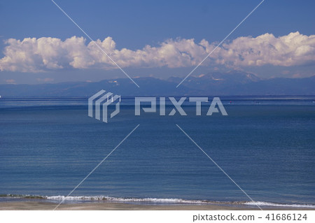 逗子海灘 逗子海灘 41686124