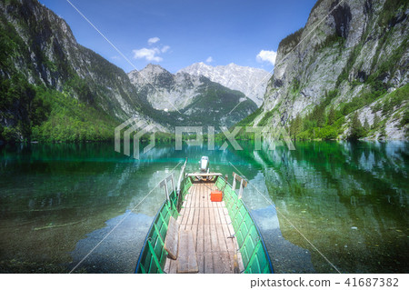 Meadow with cows in Berchtesgaden National Park 41687382