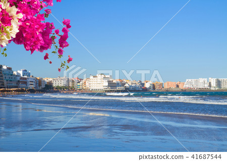 Medano, Tenerife, Spain 41687544