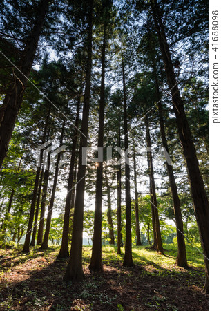 宮城縣Wakudani Miwadake山 41688098