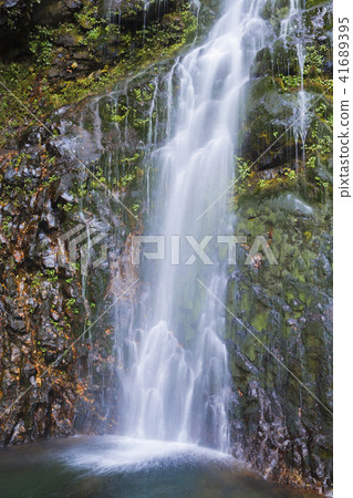 The rock wall and the Shaku-taki 41689395