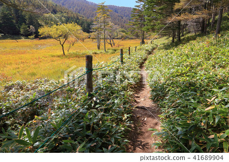 The autumn owara moorland (Oshara Hara) 41689904