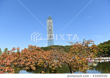 秋天的東山公園 41690500