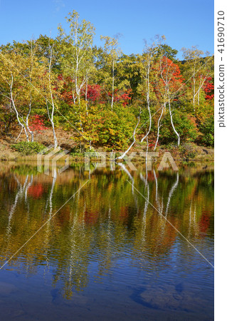 Norikura Highlands Ichinose Garden“Maimame's Pond” 41690710