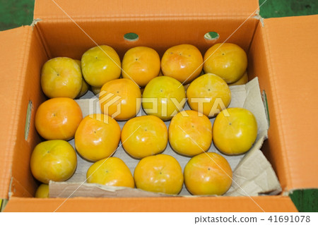 農作物,柿子 農作物,柿子 41691078