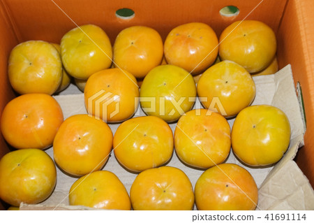 農作物,柿子 農作物,柿子 41691114