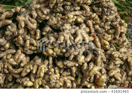 Crops, ginger 41691465