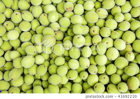 Crops, plums Crops, plums 41692210